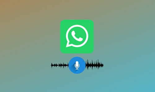 WhatsApp voice note preview 2